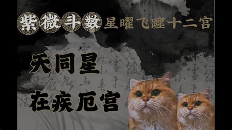 鈴星 疾厄宮|【許耀焜】紫微斗數／從「鈴星」看趨吉避凶之道－否極泰來樂活。